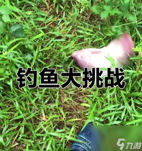红鳃鱼在魔兽plus中如何钓取?