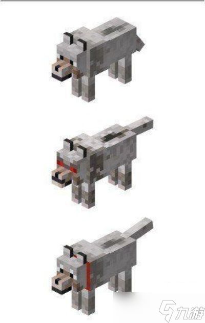 我的世界怎么给狼命名？从驯服到命名的完整指南