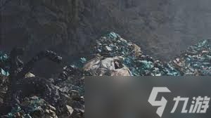 怪物猎人荒野超越巅峰尸体在哪