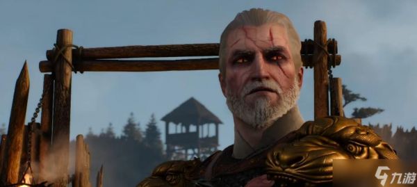 巫师3(全面解析次世代版巫师3)