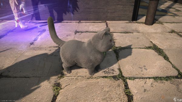 《最终幻想14》7.4版本坐骑与宠物获取全攻略