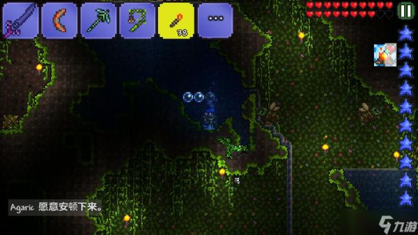 如何在泰拉瑞亚中建造一个安全的别墅