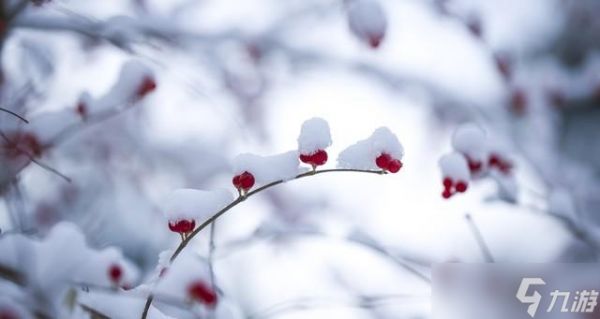 “2026年景好不好,就看冬月初一”,明日冬月初一,有啥说法?