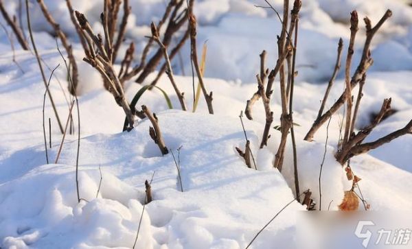 “2026年景好不好,就看冬月初一”,明日冬月初一,有啥说法?