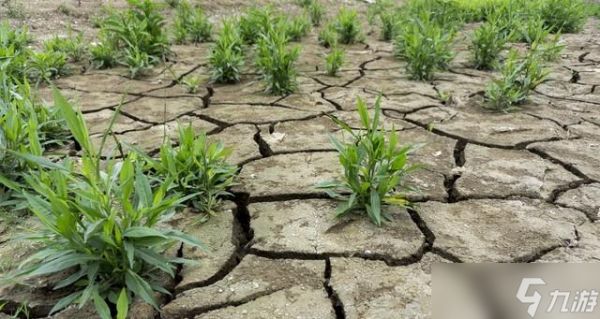 “2026年景好不好,就看冬月初一”,明日冬月初一,有啥说法?