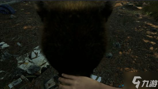 硬核生存射击《Life After End》上架Steam：西伯利亚背景 支持驯养骑乘棕熊