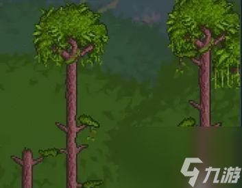 探寻泰拉瑞亚14绿洲的神秘所在（寻找隐藏在游戏世界中的宝藏之地）