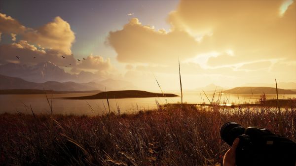 野生动物摄影：序章好玩吗 野生动物摄影：序章玩法简介