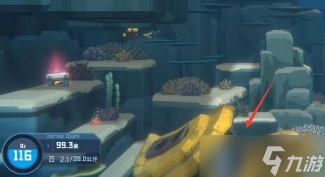 潜水员戴夫达夫的粉色快递怎么找