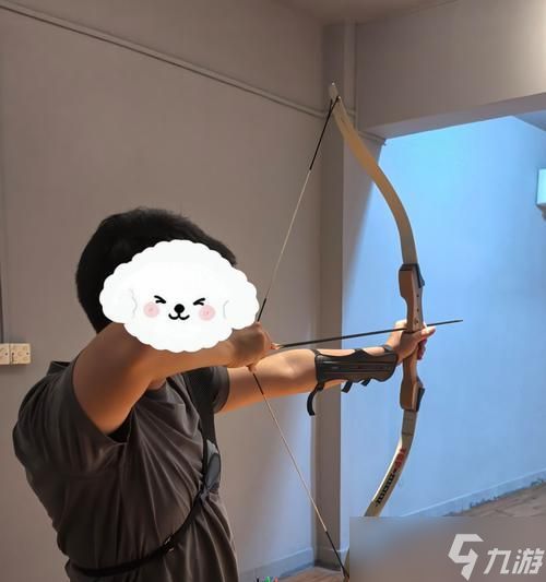 《真三国无双8弓箭射击技巧大全》（掌握正确的弓箭射击玩法）