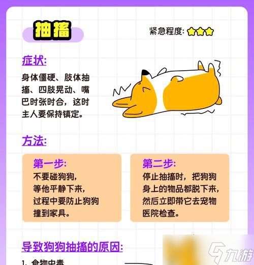 《王国两位君主小狗的救助之旅》（一场充满冒险与友情的游戏体验）