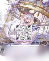 绯月絮语公测常见问题有什么