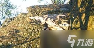 燕云十六声千年渡隐世之法如何做