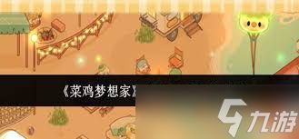 菜鸡梦想家光影时间系统如何