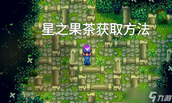 星露谷物语(探索游戏世界)