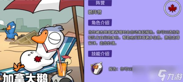 鹅鸭杀加拿大鹅被杀了不报警是为什么