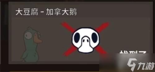 鹅鸭杀加拿大鹅被杀了不报警是为什么