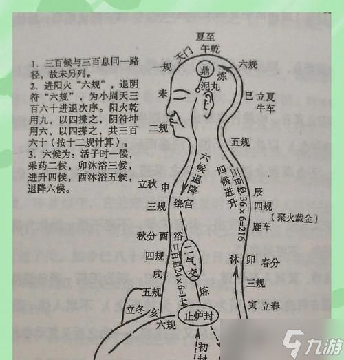 御龙在天仙炉炼丹步骤是什么？如何提高炼丹成功率？