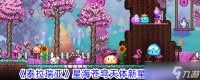 泰拉瑞亚星海苍穹天体新星使用攻略 激活、能量与策略全解析