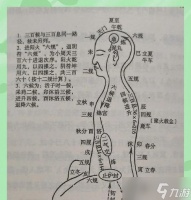 御龙在天仙炉炼丹步骤是什么 怎么提高炼丹成功率