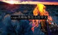 csgo名称标签使用次数究竟是多少