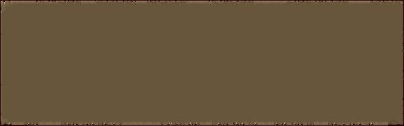 法术圆盘:探索无限组合,roguelike动作游戏的创意新体验