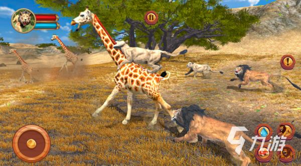 2026好玩的狮子主题游戏推荐：高人气动物题材手游合集