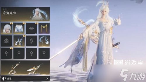 沧海龙吟多少钱才能拿下:价格解析与购买指南