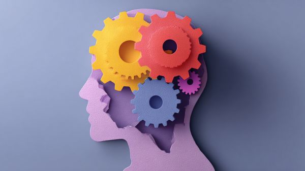 知识问答合集好玩吗 知识问答合集玩法简介