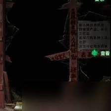 纸嫁衣8千子树第二章夜盲怎么解谜