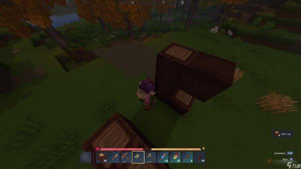 如何在《Hytale》中建造基地