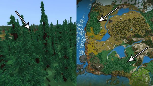 如何在《Hytale》中获得硬木