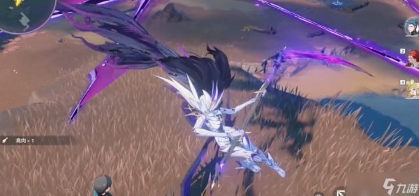 鸣潮肉在哪里获得