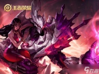 王者荣耀高分段最热法师是他 王者大神都会用