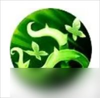 帕瓦勇者传说幻宠丛林守护者技能详解