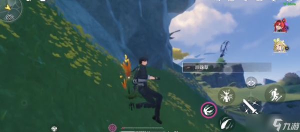 鸣潮珍珠草给谁用