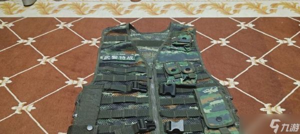 雷霆一号战术背心选择一览（游戏装备之最佳选择）