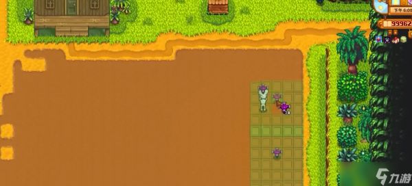 星露谷物语种地布局怎么改