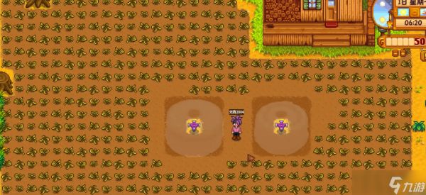 星露谷物语种地布局怎么改