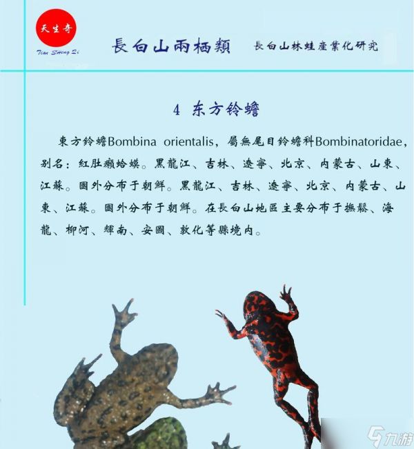 蛤蟆野怪的历史起源是什么？最早出现在哪个版本？