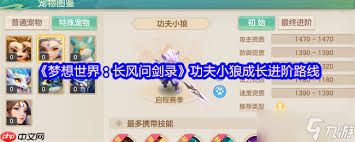 梦想世界功夫小狼如何终极培养