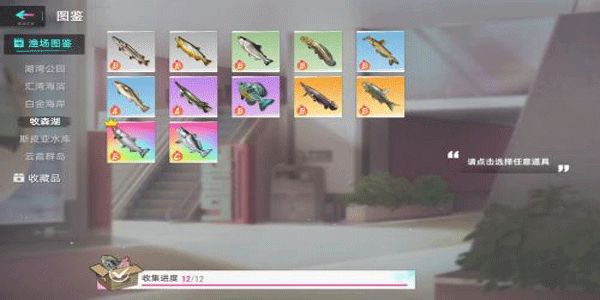 猫之城彩色鱼要怎样获取