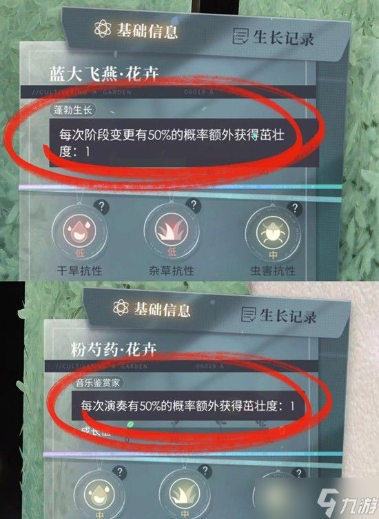 恋与深空游戏家园怎么种植