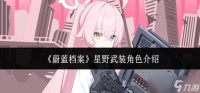 蔚蓝档案星野武装角色怎么样-星野武装角色介绍