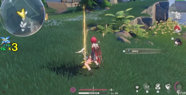 鸣潮鸢尾花怎么找