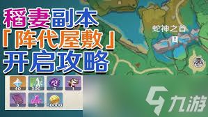 原神稻妻秘境副本有哪些