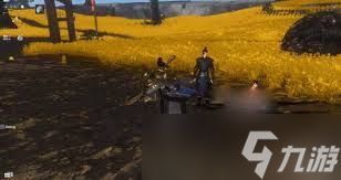 魂之追梦生活技能都有啥