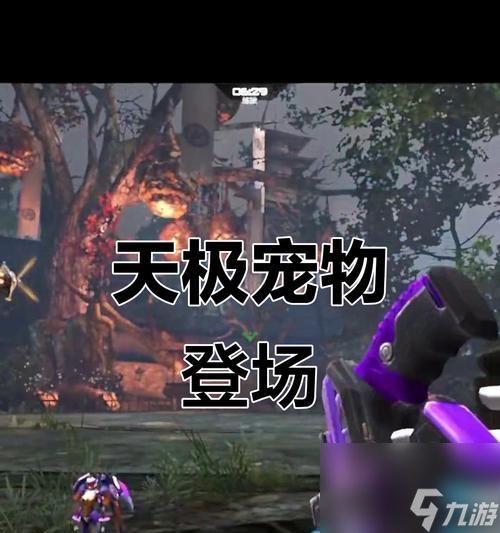 逆战宠物技能如何装配？装配技能后宠物能力如何变化？