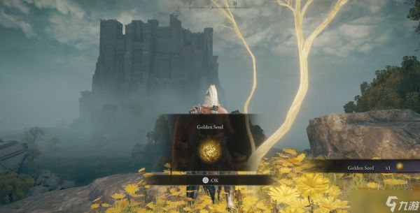 <a id='link_pop' class='keyword-tag' href='https://www.9game.cn/aedfh/'>艾尔登法环</a>黄金种子怎么获得