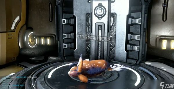 星际战甲镜像猫是什么